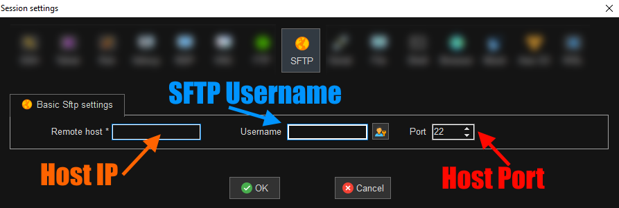WinSCP New Session form configured for SFTP